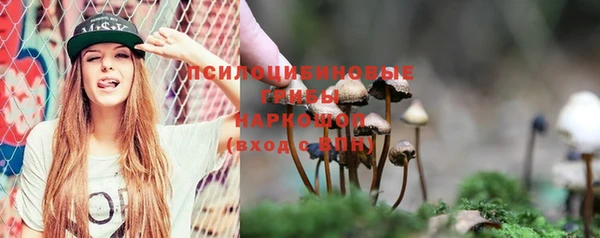дживик Армянск