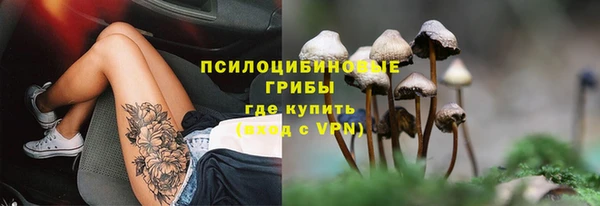 гидра Аркадак