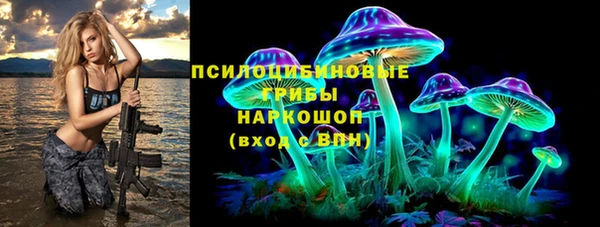 прущие крисы Арсеньев